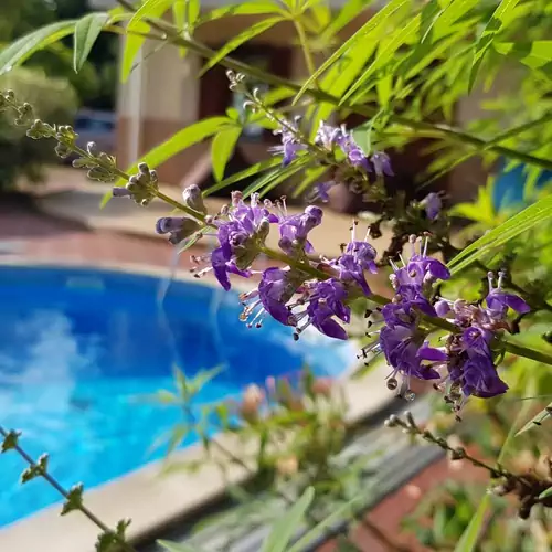 Hullám Villa Balatonmáriafürdő 009 kép