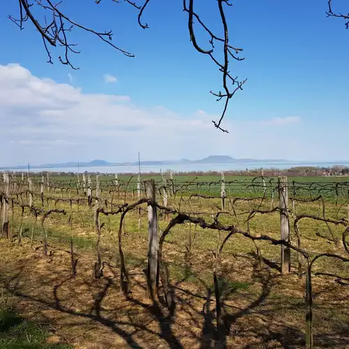Hullám Villa Balatonmáriafürdő 037 kép
