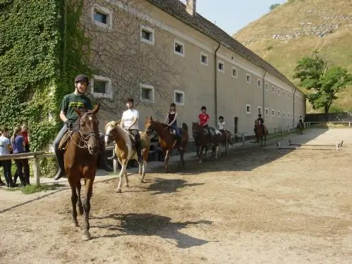 Capári Lovasiskola Sümeg