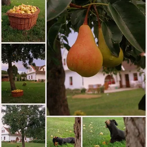 Király Ház Magyarpolány 009 kép