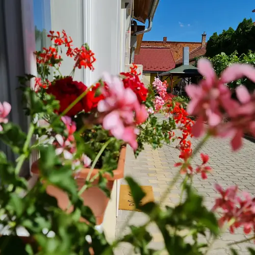 Kert Panzi&oacute; udvar