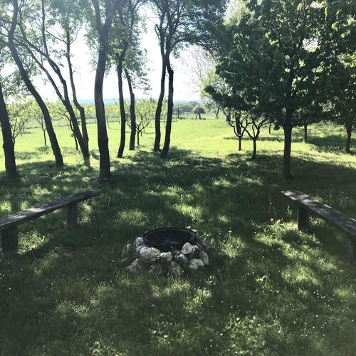 Bográcsozási, tárcsázási lehetőség.