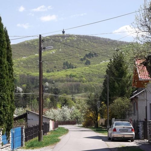 A Rózsa utca