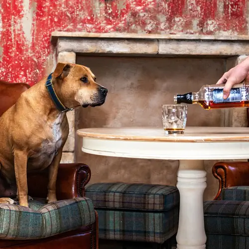 &Eacute;tterm&uuml;nk &eacute;s b&aacute;runk is kutyabar&aacute;t! 