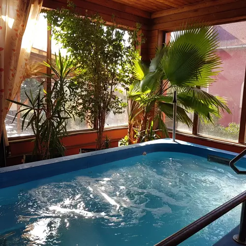 wellness