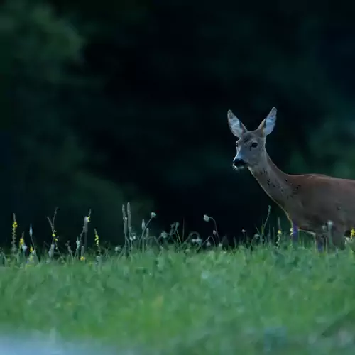 Cseri Kastély Szálloda és Étterem Tótvázsony 024 kép
