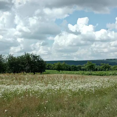 Dió-Lak Vendégház Feldebrő 012 kép