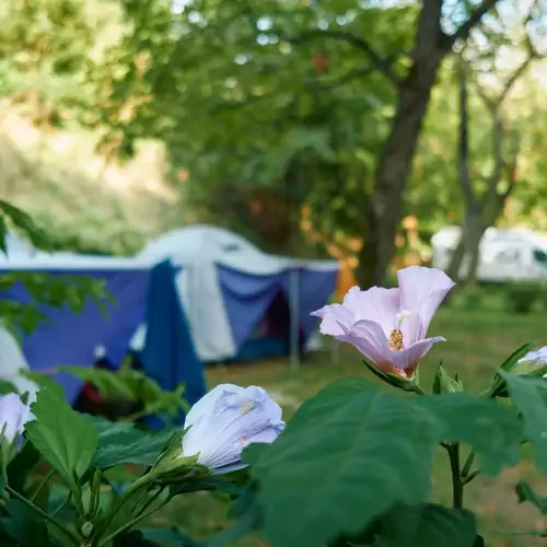 Öko-Park Panzió és Rendezvényközpont Szarvaskő 015 kép