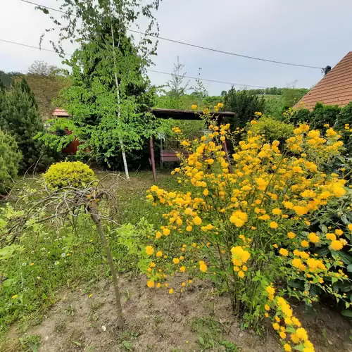 Pogányvár Vendégház Kozárd 015 kép