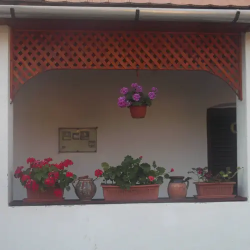 F&eacute;nyk&eacute;p teraszr&oacute;l