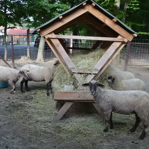 Flóra Apartman Parádsasvár 041 kép