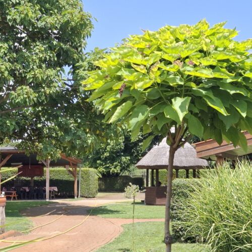 Puszta Vendégházak Tiszafüred