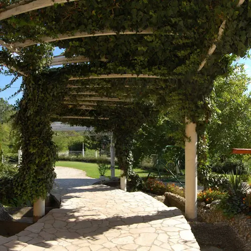 Fot&oacute; a kertről