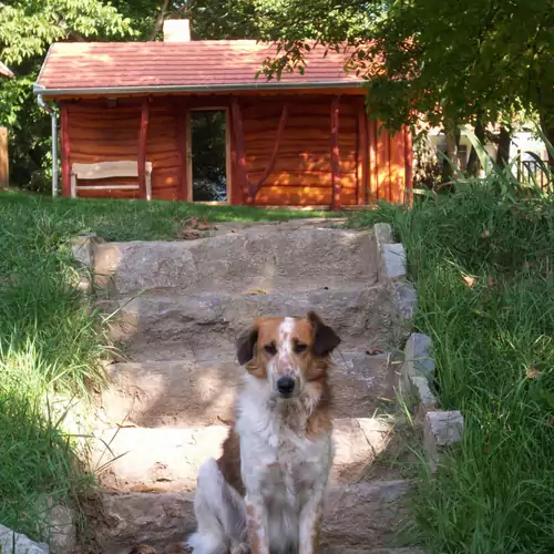 Lovastanya Vendégház Gyűrűfű-Ökofalu 011 kép