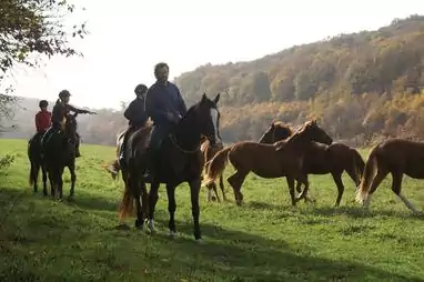 lovastúra a környéken