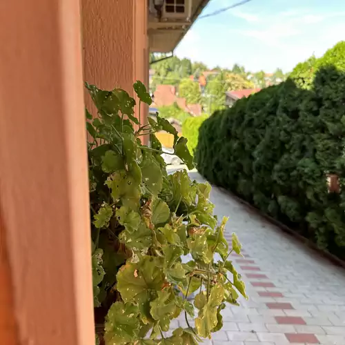 Villa Renáta Apartmanház Zalakaro 017 kép