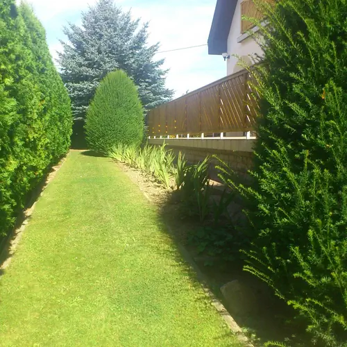 Fot&oacute; a kertről