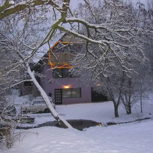 a ház télen, előtérben a patak