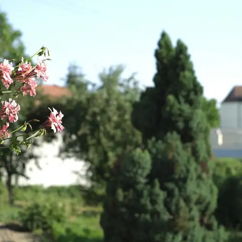 Panoráma Apartman Sárvár 017 kép