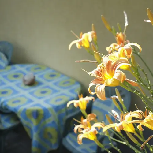 Panoráma Apartman Sárvár 006 kép