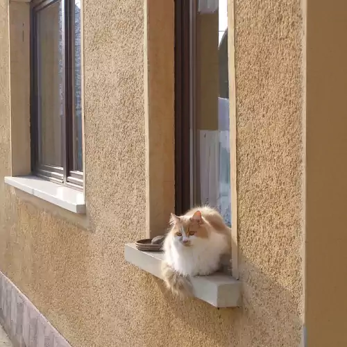 Kata Apartman Kistarcsa 019 kép