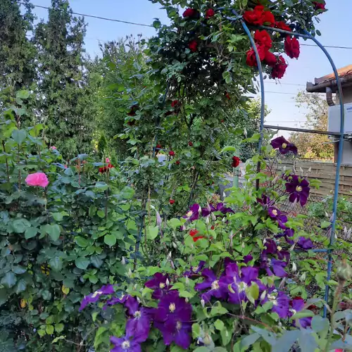 Kata Apartman Kistarcsa 022 kép
