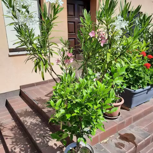 Kata Apartman Kistarcsa 024 kép