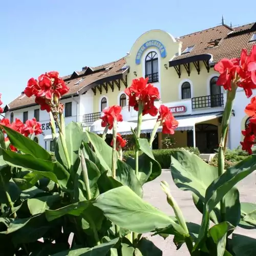 Hotel Orchidea Balástya 002 kép