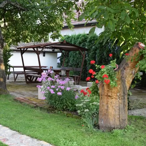 Bodrogparti Vendégház Bodrogolaszi 024 kép