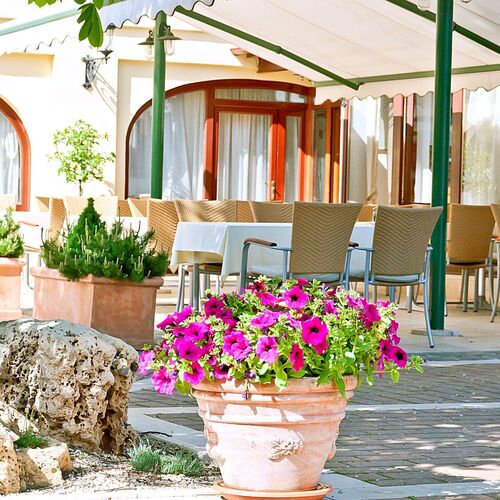 Betekints Wellness és Konferencia Hotel Veszprém ★★★★ 4
