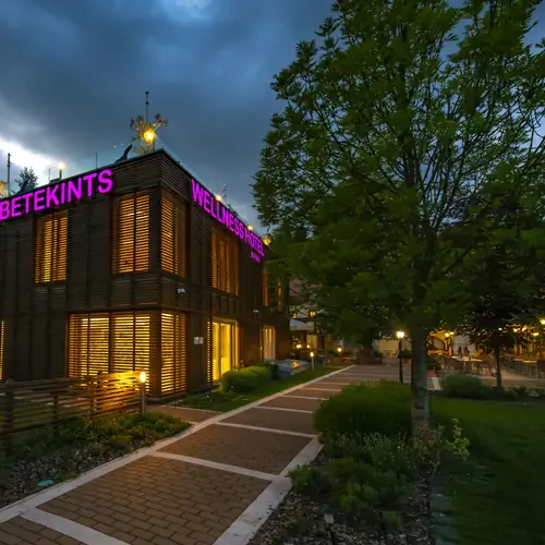 Betekints Wellness & Konferencia Hotel**** - Veszpr&eacute;m - Sz&aacute;lloda &eacute;p&uuml;let