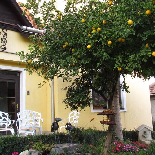 Torkolat Panzió Tokaj