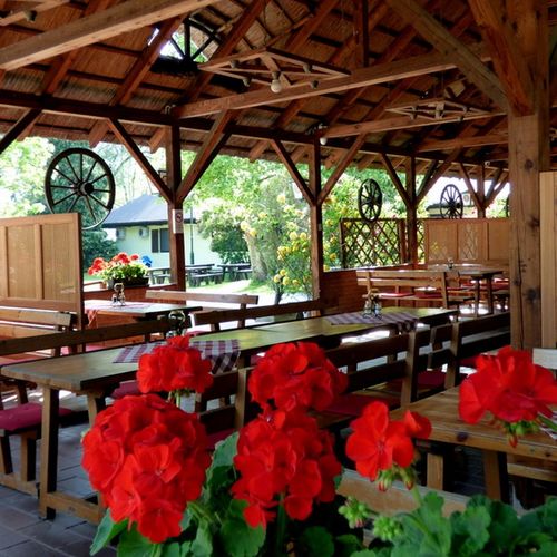 Balaton Eldorado Camping Badacsonylbdihegy 