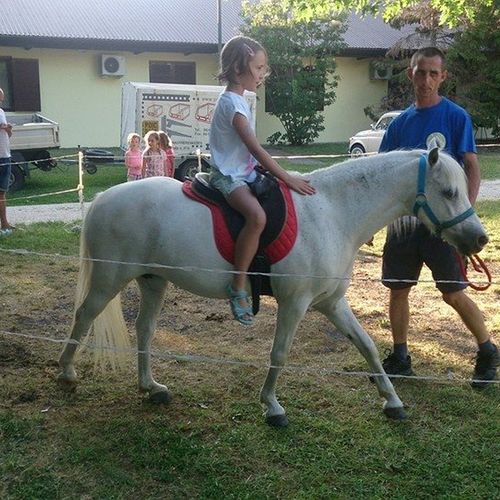 Balaton Eldorado Camping Badacsonylábdihegy  4