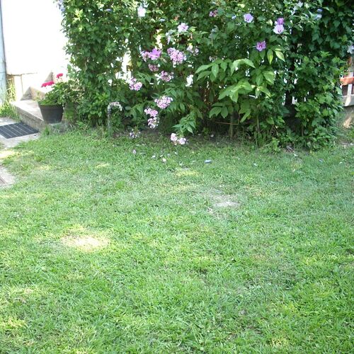 Zsuzsanna Vízközeli Kertes Apartman Balatonlelle  2