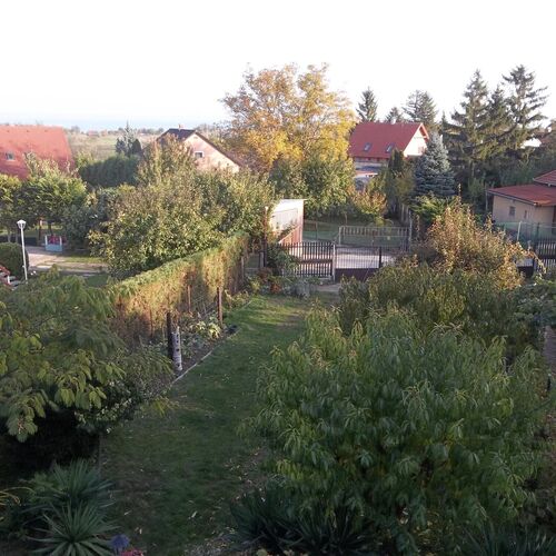 Gitta Apartman Balatonalmádi  3