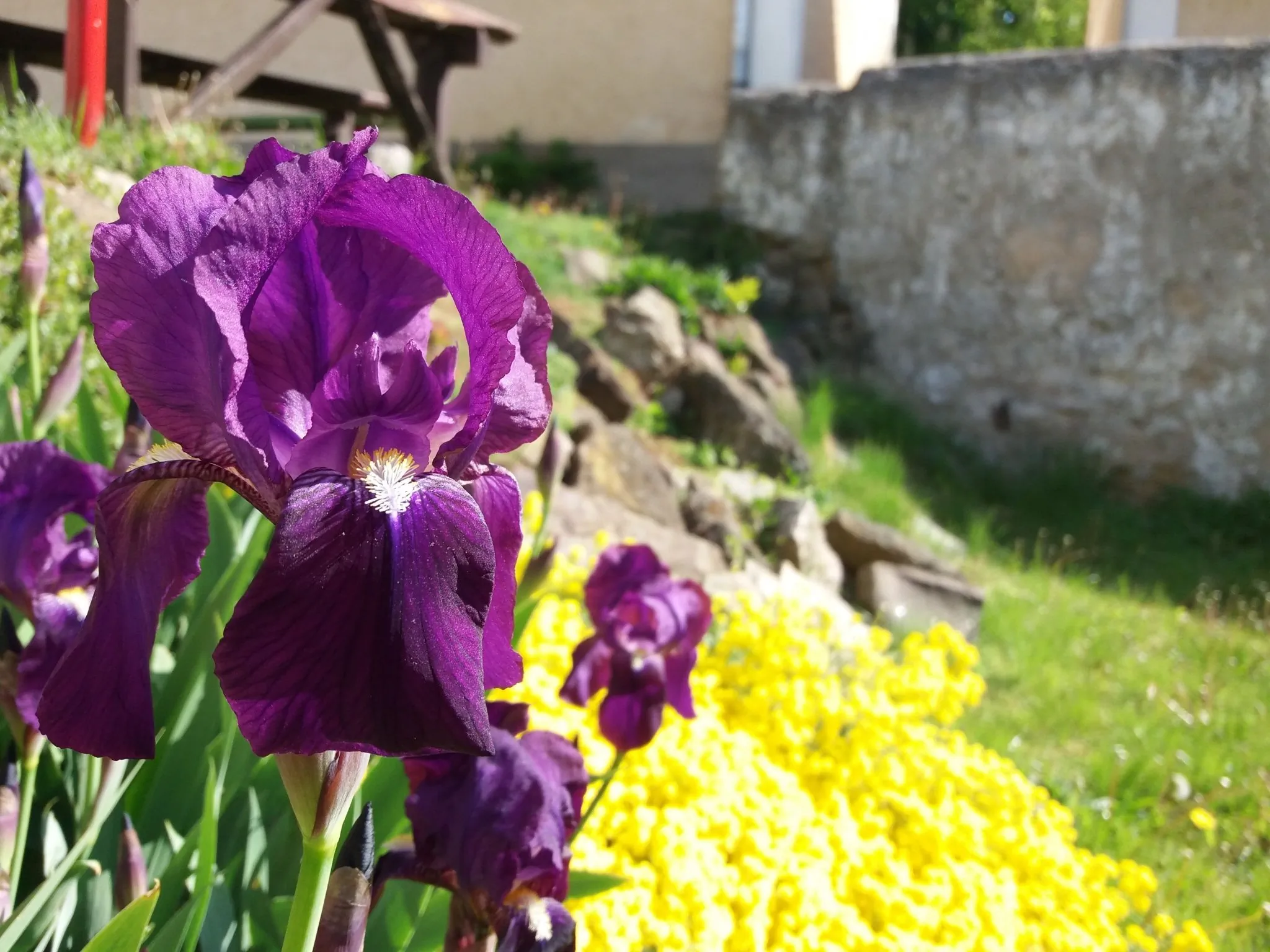 Napraforgó Turistaszálló Szentbékkálla