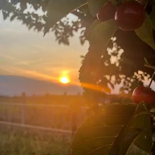 Tulipános Vendégház Fertőszentmikló 029 kép