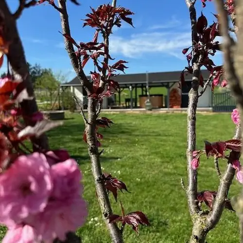 Tulipános Vendégház Fertőszentmikló 044 kép