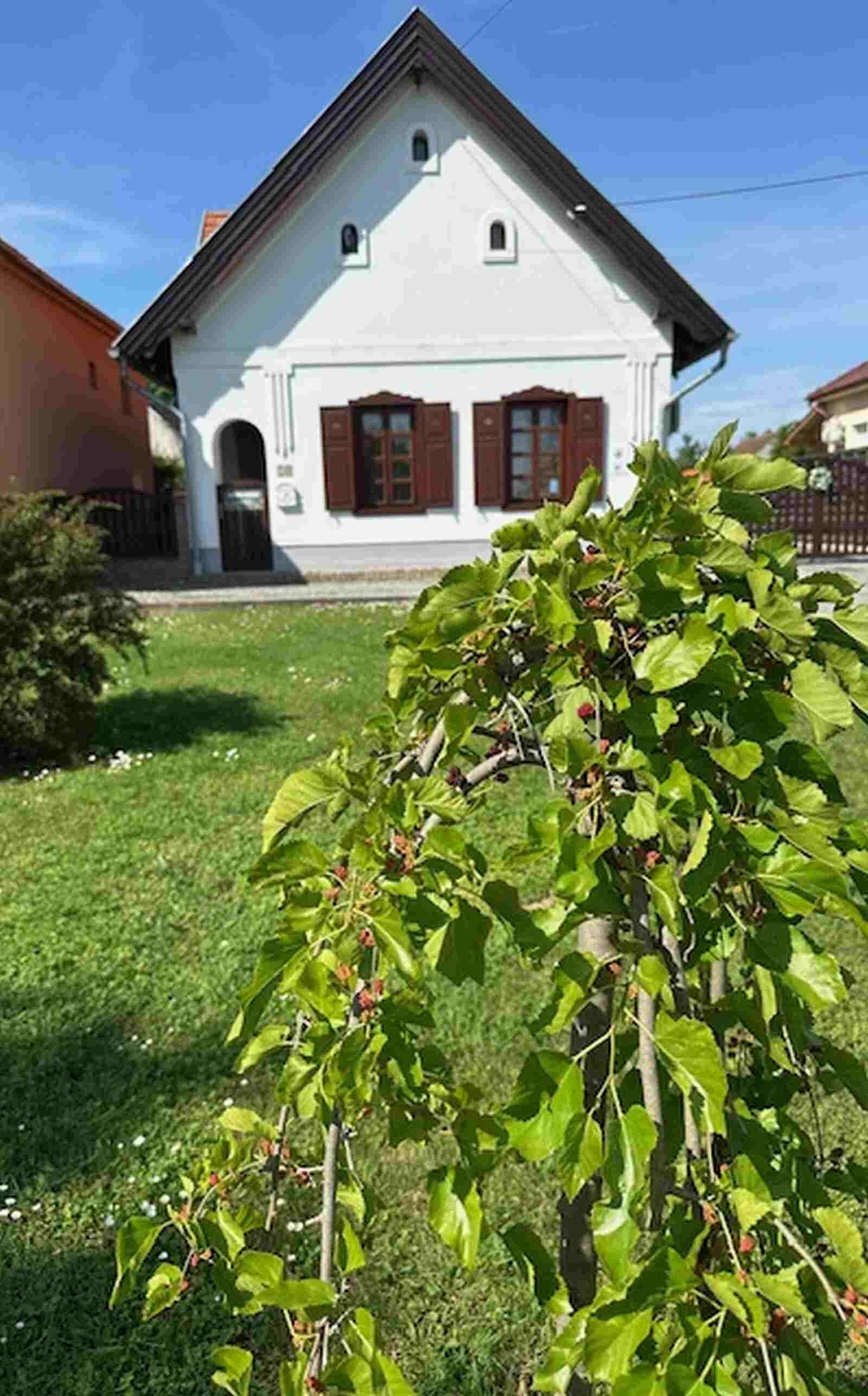 Tulipános Vendégház Fertőszentmiklós