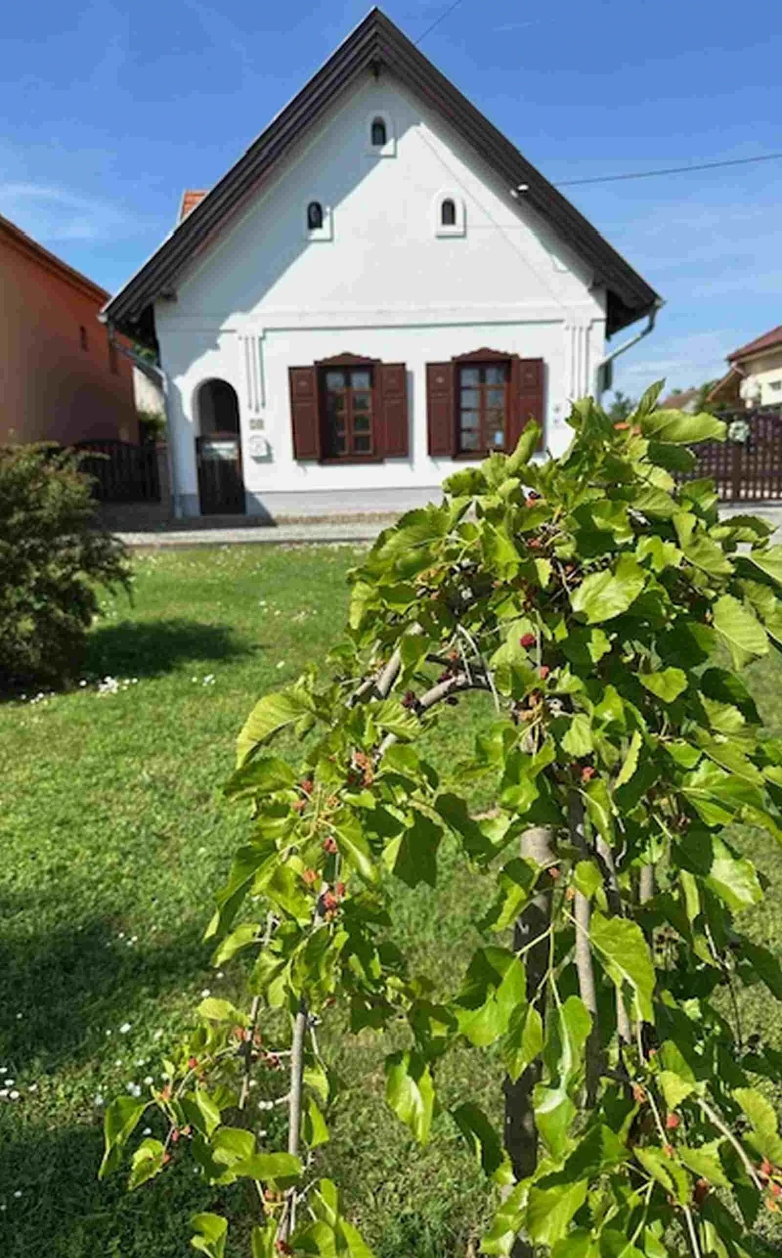 Tulipános Vendégház Fertőszentmiklós