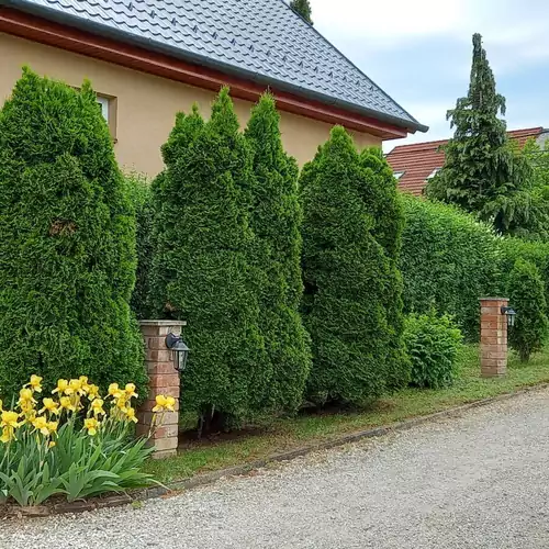 Meni Apartmanház Balatonföldvár 027 kép