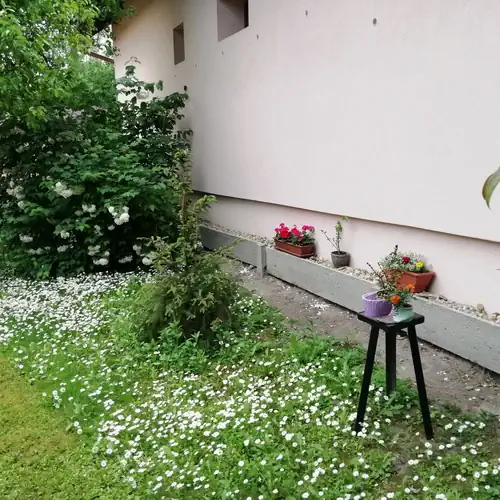 Marcsi Apartman Gyula 017 kép