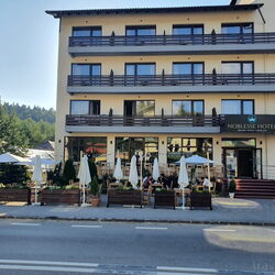 Hotel Noblesse 117459 Predeal