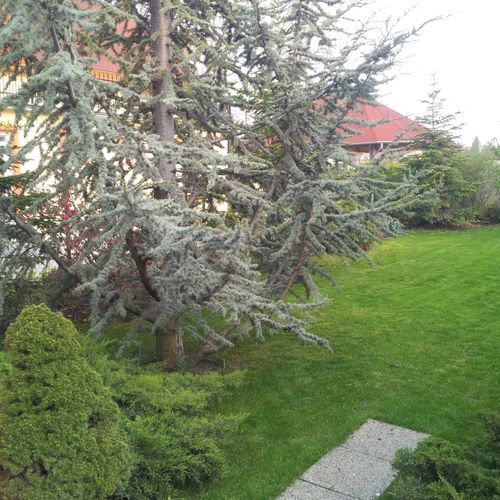 Anna Villa Balatonlelle  4