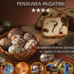 Pensiunea Mușatinii Putna