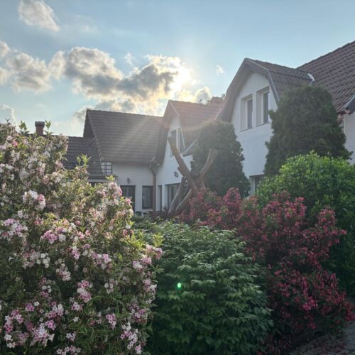 Casa de oaspeți Margareta Odorheiu Secuiesc