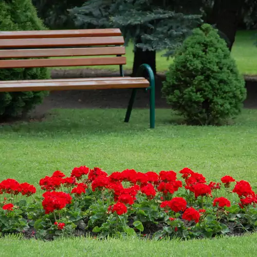 Pálmajor Pihenőpark és Rendezvényközpont Agárd 008 kép