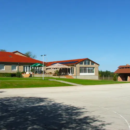 Panzi&oacute;