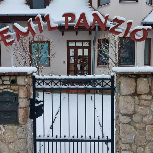 Emil Porta Balatongyörök 010 kép